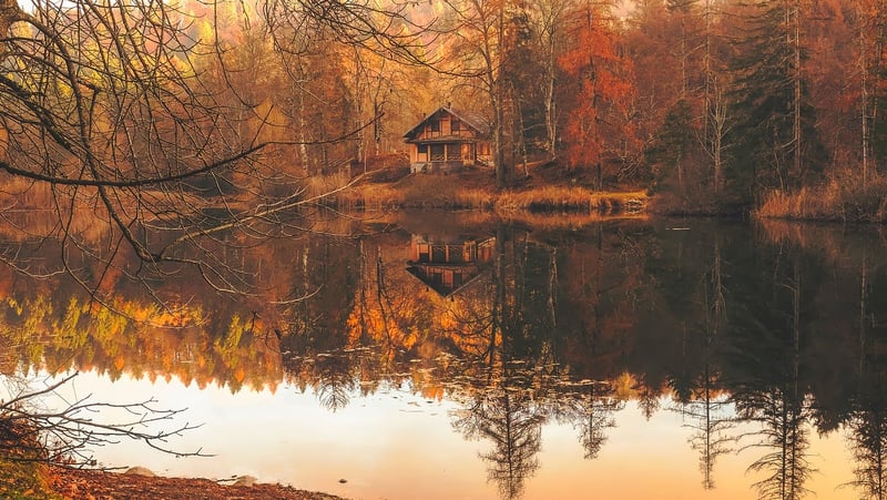 Cozy Cabin